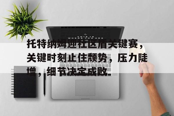 开云-关于托特纳姆迎社区盾关键赛，关键时刻止住颓势，压力陡增，细节决定成败的信息